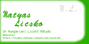 matyas licsko business card